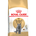 Royal Canin British SHORTHAIR